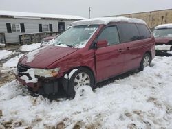 Honda Odyssey exl salvage cars for sale: 2004 Honda Odyssey EXL