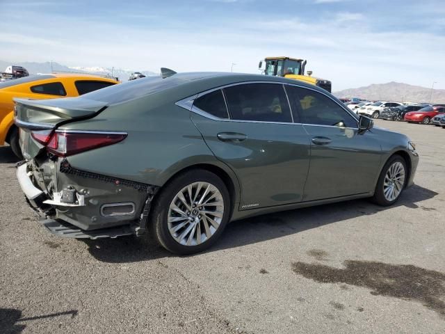 2020 Lexus ES 300H Luxury