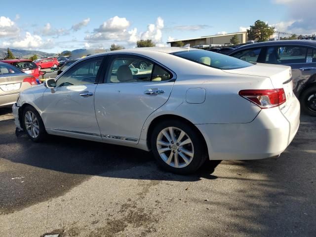 2010 Lexus ES 350