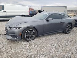 Ford Mustang salvage cars for sale: 2024 Ford Mustang