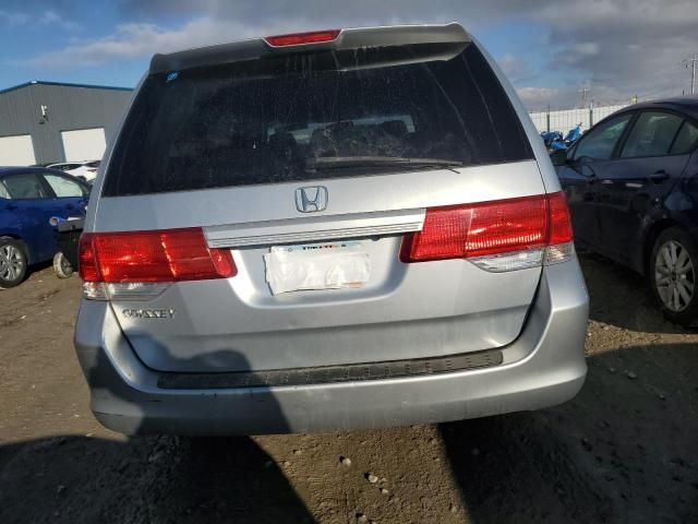 2010 Honda Odyssey EXL