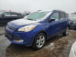 Ford Escape salvage cars for sale: 2014 Ford Escape SE