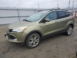 Ford salvage cars for sale: 2013 Ford Escape SEL