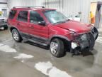 2004 Ford Escape XLT