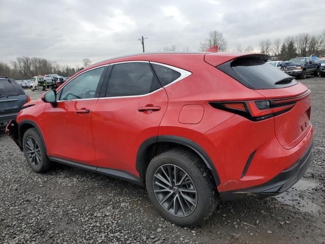 2024 Lexus NX 350H Base