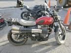 2019 Triumph Street Scrambler