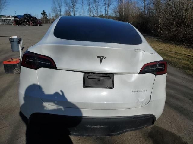 2025 Tesla Model Y