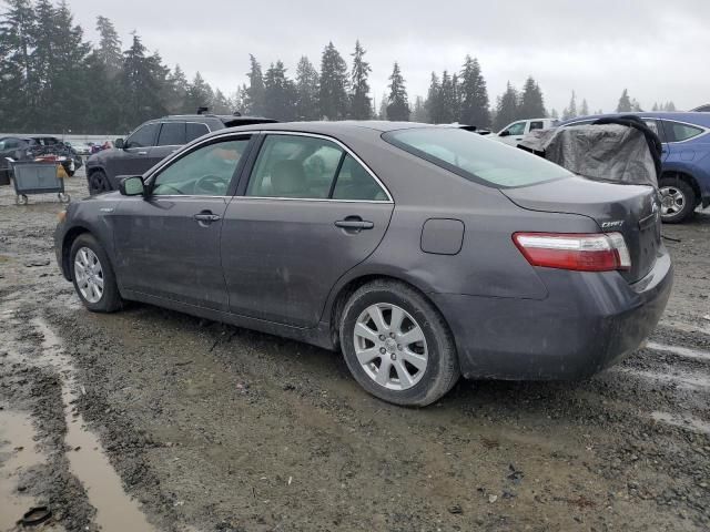 2008 Toyota Camry Hybrid