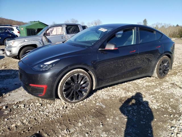 2024 Tesla Model Y