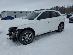 Audi salvage cars for sale: 2019 Audi Q5 Technik S-Line