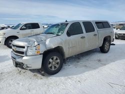Salvage trucks for sale at Helena, MT auction: 2011 Chevrolet Silverado K1500 LT