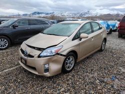 Toyota Prius salvage cars for sale: 2010 Toyota Prius