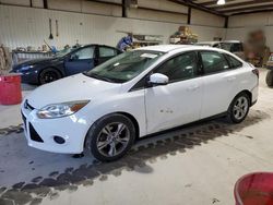 Ford Focus salvage cars for sale: 2014 Ford Focus SE