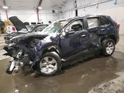 Toyota salvage cars for sale: 2024 Toyota Rav4 XLE