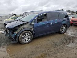 Honda Odyssey salvage cars for sale: 2016 Honda Odyssey SE