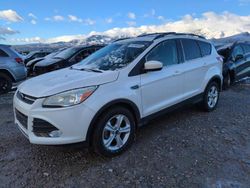 Salvage cars for sale from Copart Magna, UT: 2014 Ford Escape SE