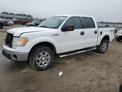 2011 Ford F150 Supercrew en venta en Harleyville, SC
