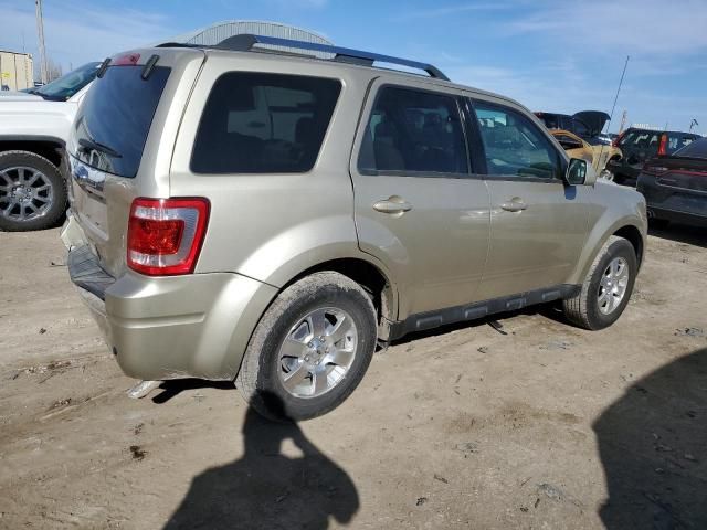 2011 Ford Escape Limited