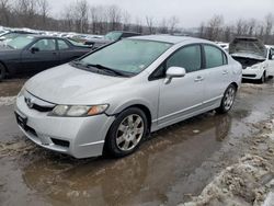 Honda Civic salvage cars for sale: 2010 Honda Civic LX