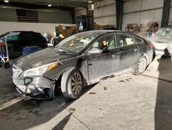 Hyundai Sonata salvage cars for sale: 2017 Hyundai Sonata Sport