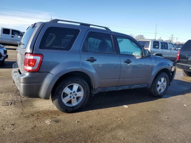 2009 Ford Escape XLT