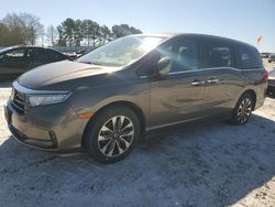 Honda Odyssey exl salvage cars for sale: 2021 Honda Odyssey EXL