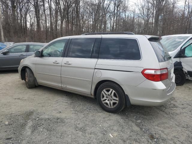 2005 Honda Odyssey Touring