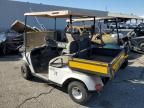 2010 Ezgo Ezgo