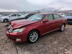 Lexus salvage cars for sale: 2012 Lexus ES 350