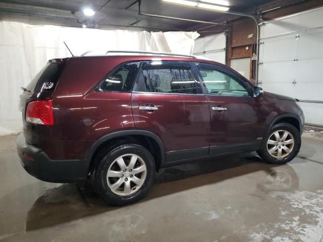 2011 KIA Sorento Base