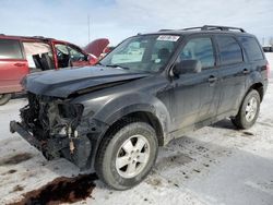 2012 Ford Escape XLT for sale in Rocky View County, AB