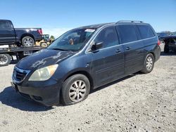 Vehiculos salvage en venta de Copart Lumberton, NC: 2008 Honda Odyssey EXL