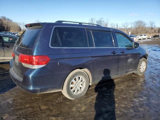 2010 Honda Odyssey EXL