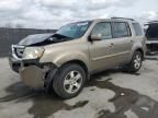 2010 Honda Pilot EXL