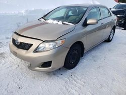 Toyota Vehiculos salvage en venta: 2010 Toyota Corolla Base