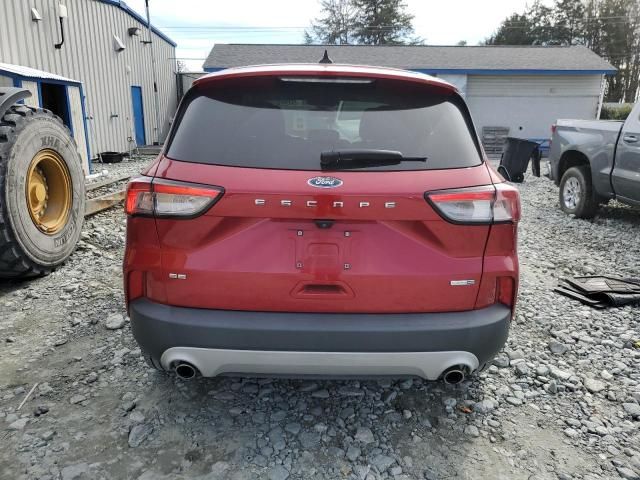 2020 Ford Escape SE