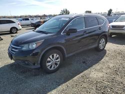 Honda crv salvage cars for sale: 2013 Honda CR-V EXL