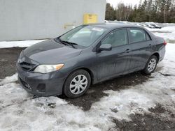 Toyota salvage cars for sale: 2013 Toyota Corolla Base