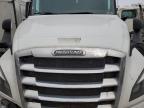 2020 Freightliner Cascadia 126 Semi Truck