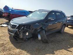 KIA Sorento salvage cars for sale: 2013 KIA Sorento LX