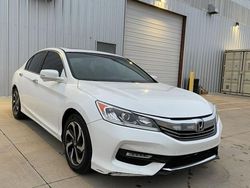 Honda Accord salvage cars for sale: 2017 Honda Accord EX