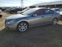 2007 Nissan Maxima SE for sale in Phoenix, AZ