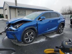 Lexus nx 300 Base salvage cars for sale: 2019 Lexus NX 300 Base