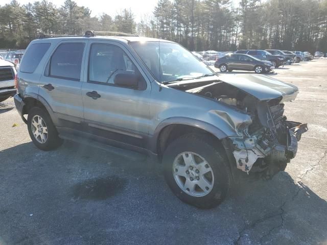 2005 Ford Escape XLT