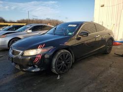 Honda salvage cars for sale: 2010 Honda Accord EXL