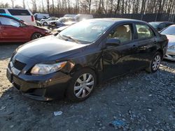 Toyota Corolla salvage cars for sale: 2009 Toyota Corolla Base