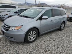 Honda Odyssey salvage cars for sale: 2016 Honda Odyssey SE