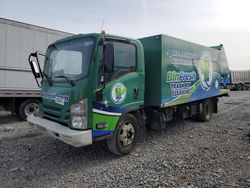 2022 Isuzu NQR en venta en Lebanon, TN