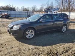 Salvage cars for sale from Copart Windsor, NJ: 2009 Chevrolet Malibu LS