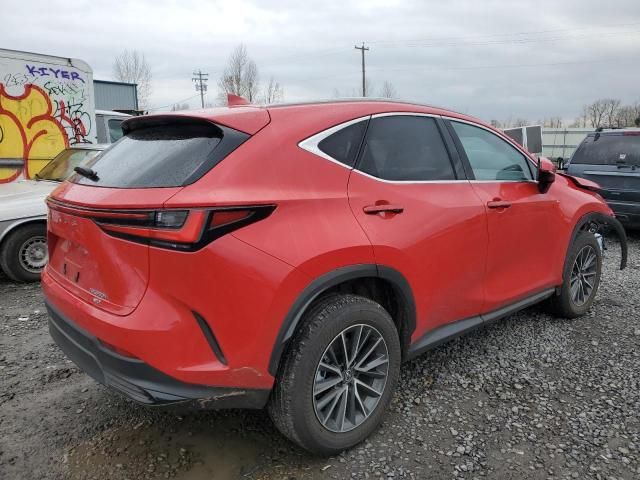 2024 Lexus NX 350H Base